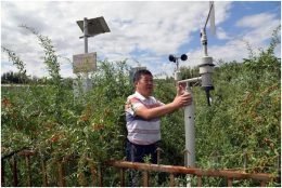 小型便携式自动气象站校园农业气候环境仪