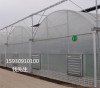 邯郸格润农业安徽塑料大棚建造智能温室