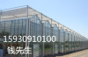 邯郸格润青海玻璃温室大棚智能型纹络温室厂
