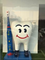 供应深圳牙科宣传玻璃钢牙齿雕塑价格