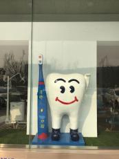 全国销售牙科宣传玻璃钢牙齿雕塑道具厂家