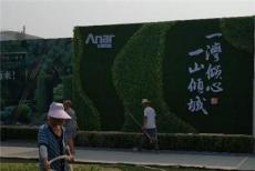 西青区仿真绿植墙北京丰台区仿真绿植墙浩宏商贸优质商家