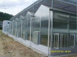 阳光板温室大棚造价农业温室阳光板