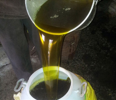 天然野生农家茶油山茶油食用油茶籽油自榨