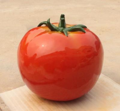 供应蔬菜基地装饰玻璃钢西红柿树脂番茄雕塑