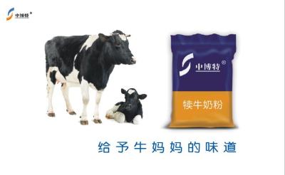 中博特犊牛奶粉防腹泻不拉稀畅销全国