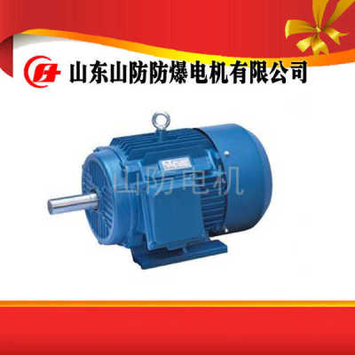 山防電機(jī)廠家批量生產(chǎn)YBK2-200L2-2防爆電機(jī)