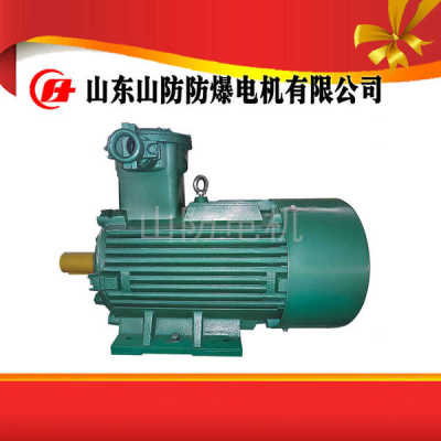 山防電機(jī)廠家批量生產(chǎn)YBK2-200L2-2防爆電機(jī)