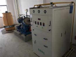 气体充装用氮气净化装置净化机瑞泽专业制造