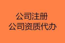 东莞蚁巢注册公司的基本情况是