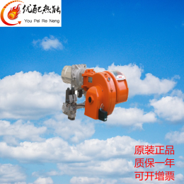 百得燃?xì)馊紵鱐BG45P 意大利原裝進(jìn)口機(jī)