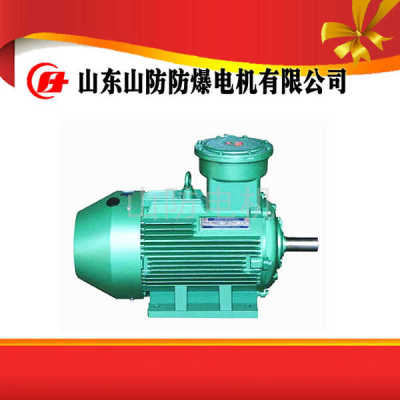 YBK2-200L1-6防爆電機產(chǎn)品規(guī)格安裝圖紙