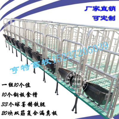 母猪定位栏限位栏母猪限位栏养猪设备