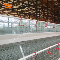 育雏笼 阶梯式鸡笼自动化养鸡设备