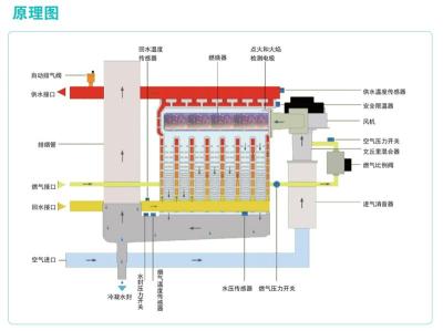 低氮锅炉-效率高-寿命长-双菱厂家直销