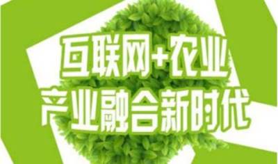 夏草牧场游戏理财模式开发