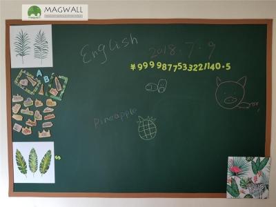 Magwall磁性軟綠板教學辦公無塵磁性綠板廠