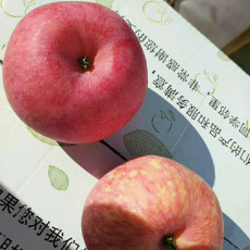 红富士苹果基地襄阳条红苹果多少钱