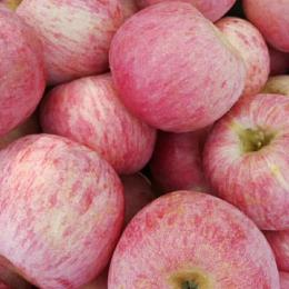 红富士苹果价格临沂苹果供应产地