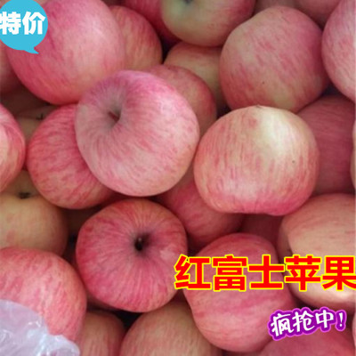 红富士苹果产地黑河苹果供应基地