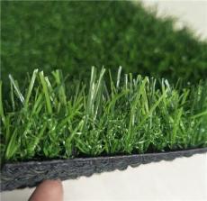 人工草坪圖人造草坪每平米武威市人造草坪