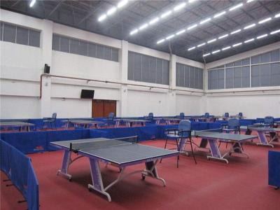 乒乓球pvc地板厂家 乒乓球地板品牌