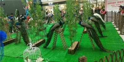 萌寵出租萌寵展覽萌寵租賃