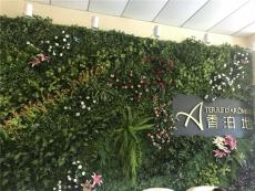 北京设计仿真绿植墙假植物背景墙植物墙安装