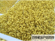 吉林小型豆芽机器 生豆芽机价格 全自动豆芽