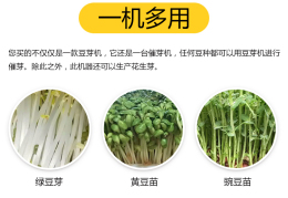 不锈钢豆腐机器 鑫丰商用大型自动豆腐机