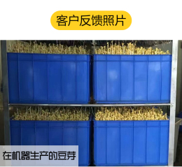 卤水豆腐机 大型豆腐机成套设备 豆腐成型机