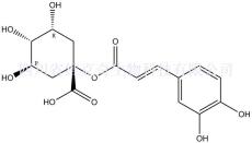1-咖啡酰奎宁酸标准品