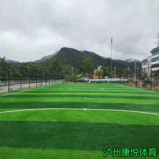 攀枝花人造草坪厂家足球场仿真塑胶草坪铺设