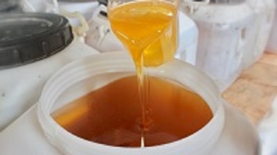 徽蜂堂蜂业-天然蜂蜜原料加工