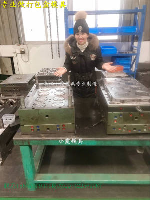 一次性保鮮盒注射模具