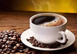 代理咖啡生豆进口哪家报关行比较靠谱