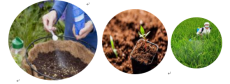 2019年广州国际土壤改良技术及新型肥料展
