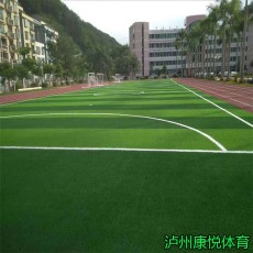 重庆渝北人造草坪厂家施工渝中区足球场草坪
