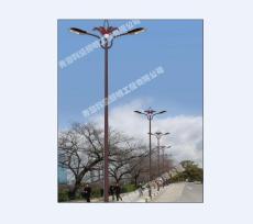 供拉薩道路燈和西藏道路照明燈供應商