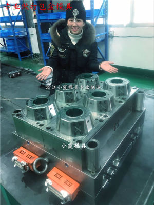 一出八透明一次性打包盒模具