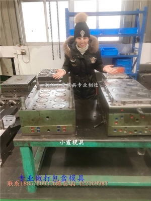 800ml一出四透明一次性薄壁打包盒模具