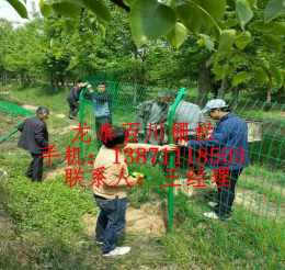 果园果树围栏网 圈树林苗圃防护网
