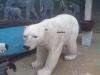 动物园玻璃钢仿真熊猫雕塑树脂北极熊摆件