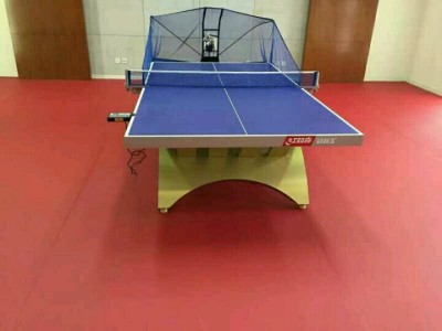 河南乒乓球专用地板厂家