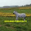 深圳动物公园玻璃钢仿真斑马雕塑厂家