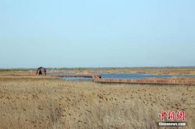 办理雄安道路运输许可需要什么条件