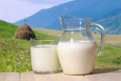 招商新疆骆驼奶粉那拉乳业那拉丝醇300g罐装