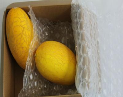 水果运输包装缓冲气垫膜 填充水果缓冲葫芦