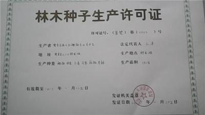 石家庄核桃苗赞皇核桃苗廊坊核桃苗满山红苗