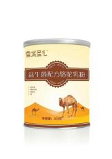 供应新疆骆驼奶粉厂家招商招代理优质信息